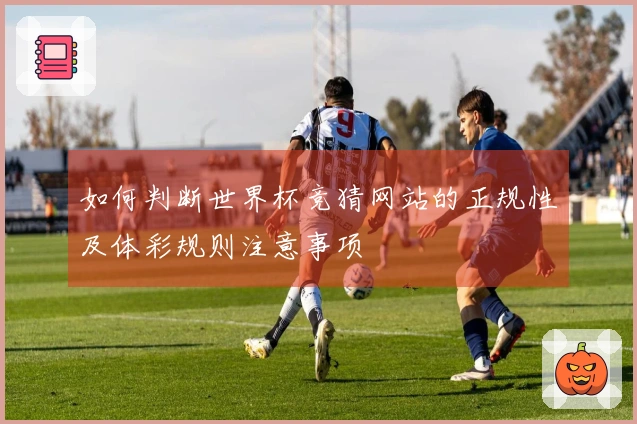 如何判断世界杯竞猜网站的正规性及体彩规则注意事项