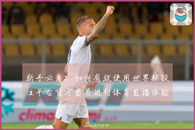 新手必看:如何有效使用世界杯投注平台官方首页进行体育直播体验