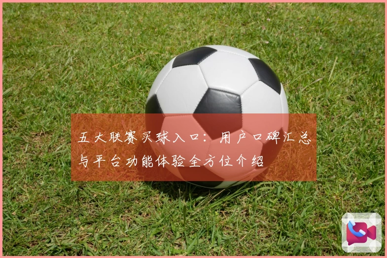 五大联赛买球入口：用户口碑汇总与平台功能体验全方位介绍