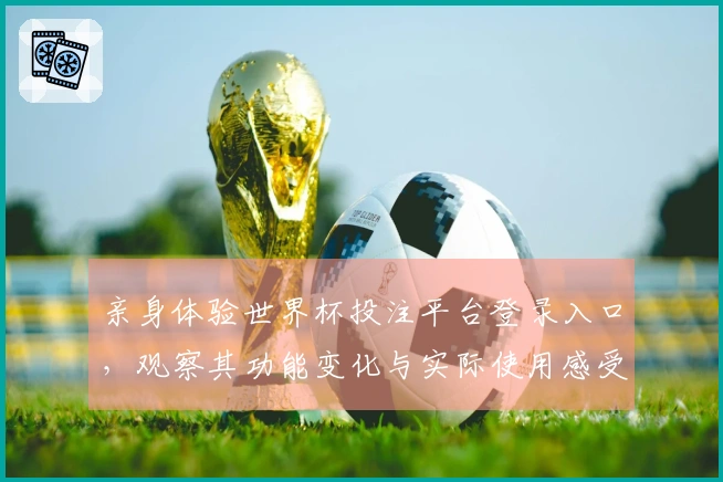 亲身体验世界杯投注平台登录入口，观察其功能变化与实际使用感受