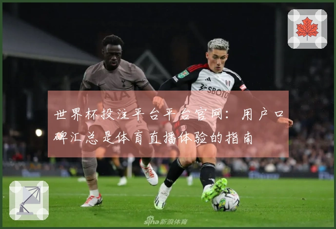 世界杯投注平台平台官网：用户口碑汇总是体育直播体验的指南