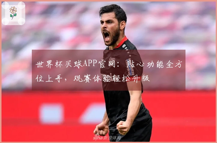 世界杯买球APP官网：贴心功能全方位上手，观赛体验轻松升级