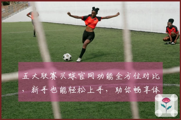 五大联赛买球官网功能全方位对比，新手也能轻松上手，助你畅享体育直播