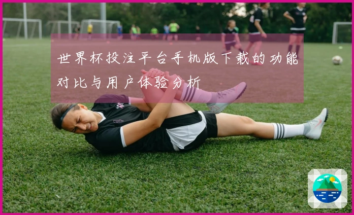 世界杯投注平台手机版下载的功能对比与用户体验分析