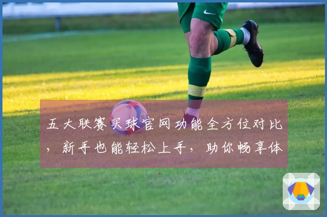 五大联赛买球官网功能全方位对比，新手也能轻松上手，助你畅享体育直播