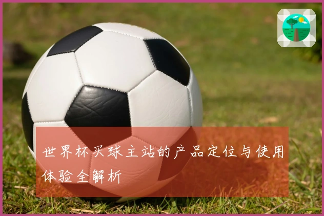 世界杯买球主站的产品定位与使用体验全解析