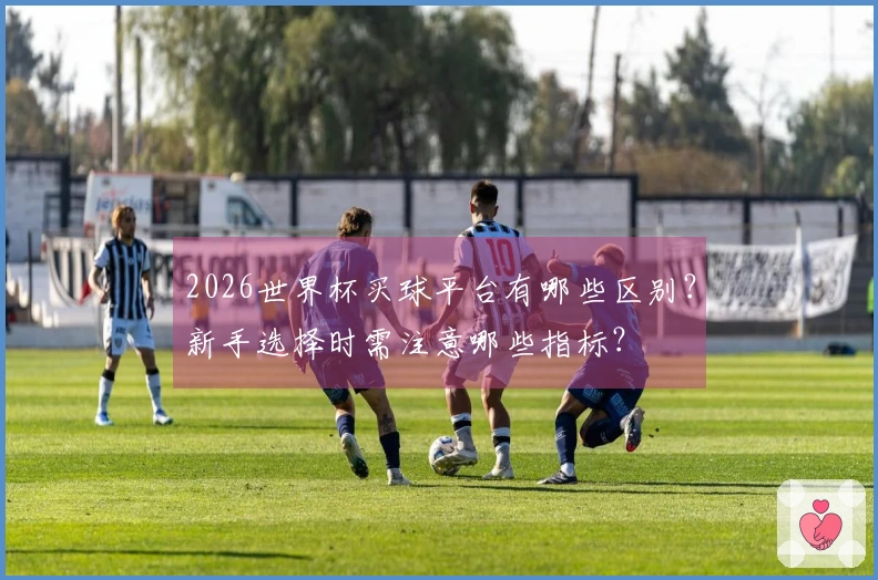 2026世界杯买球平台有哪些区别？新手选择时需注意哪些指标？