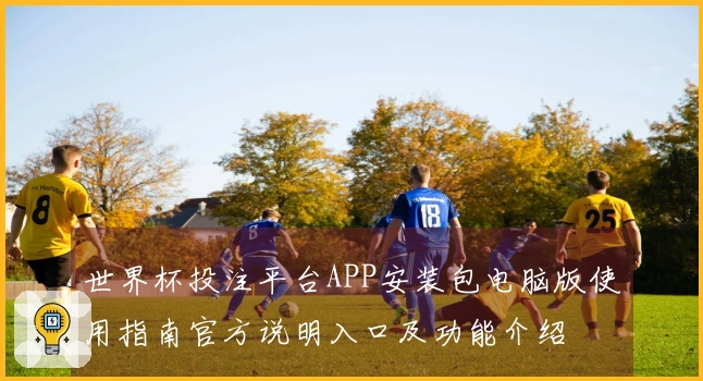 世界杯投注平台APP安装包电脑版使用指南官方说明入口及功能介绍