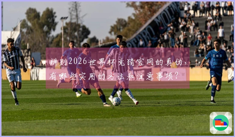 辨别2026世界杯竞猜官网的真伪，有哪些实用的方法和注意事项？