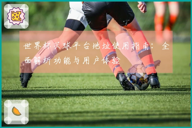 世界杯买球平台地址使用指南：全面解析功能与用户体验