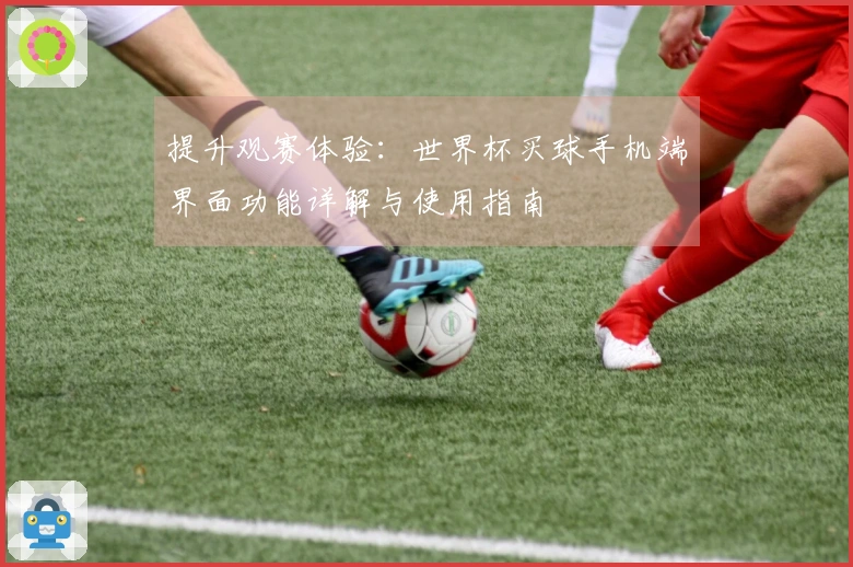 提升观赛体验:世界杯买球手机端界面功能详解与使用指南