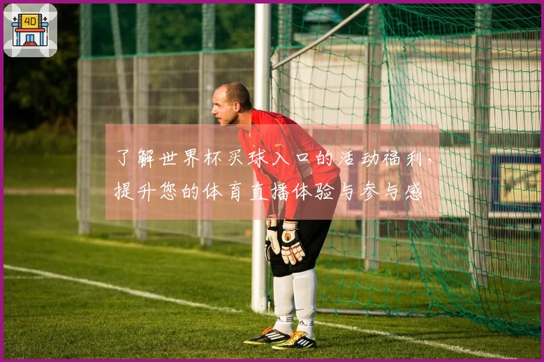 了解世界杯买球入口的活动福利，提升您的体育直播体验与参与感