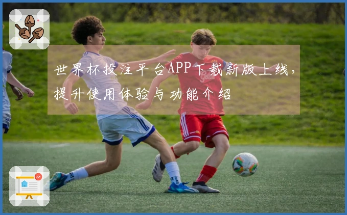 世界杯投注平台APP下载新版上线，提升使用体验与功能介绍