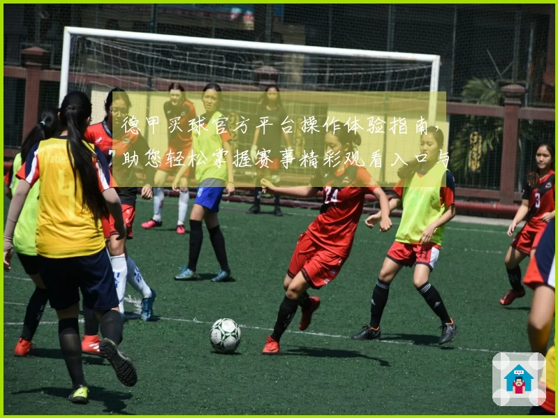 德甲买球官方平台操作体验指南，助您轻松掌握赛事精彩观看入口与平台功能
