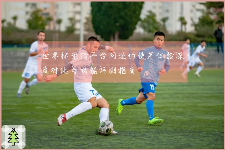 世界杯竞猜平台网址的使用体验深度对比与功能评测指南
