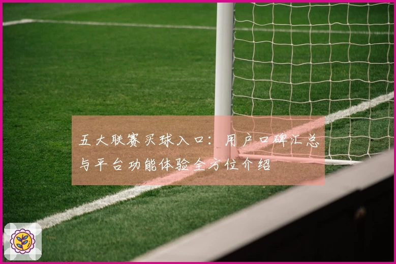 五大联赛买球入口:用户口碑汇总与平台功能体验全方位介绍