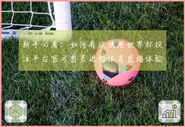 新手必看：如何有效使用世界杯投注平台官方首页进行体育直播体验