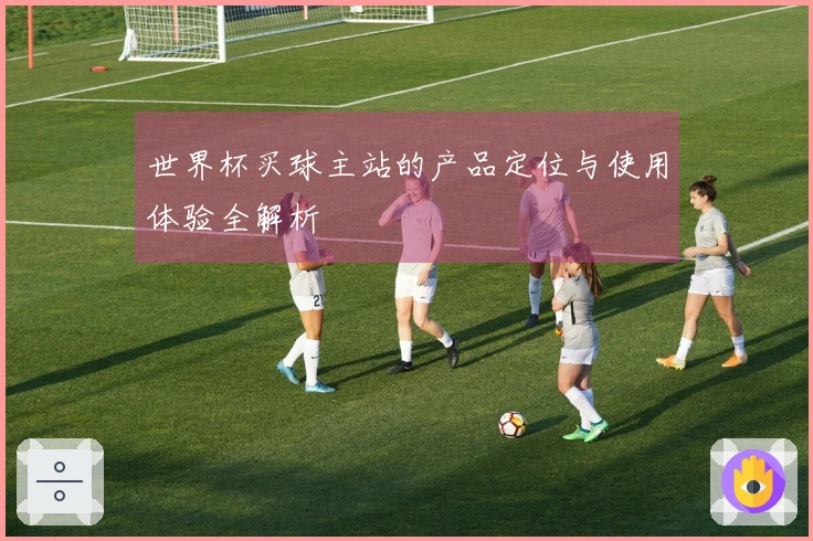 世界杯买球主站的产品定位与使用体验全解析